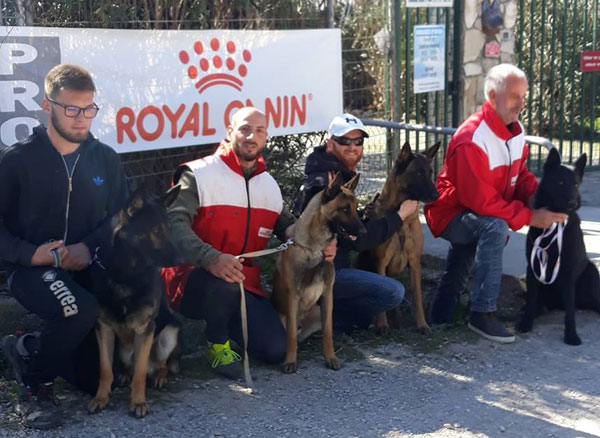 Résultat club sportif Canin 2019