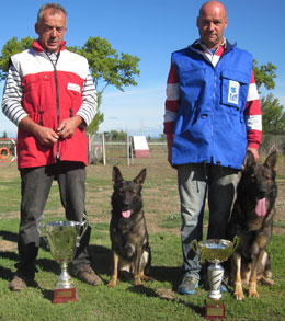 championnat de France berger allemand