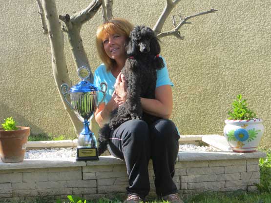 caniche champion regional